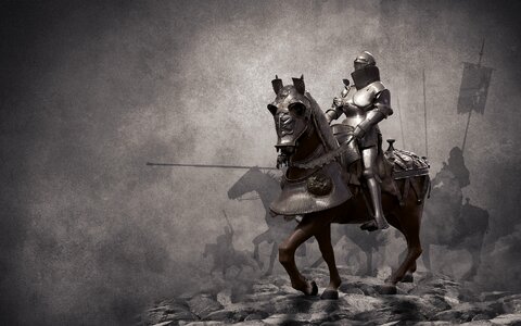 Horse held armor