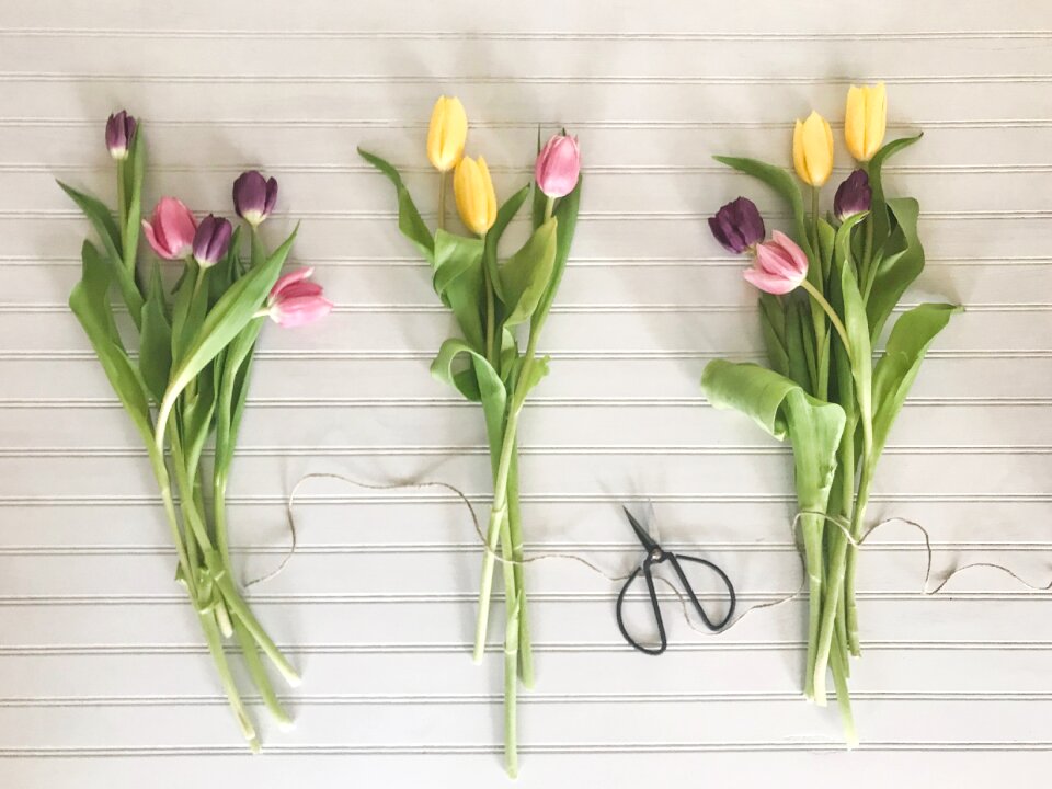 Bouquet tulip flat lay