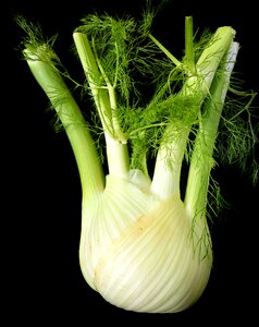 Vegetarian food diet