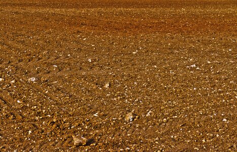 Agriculture dry lines photo