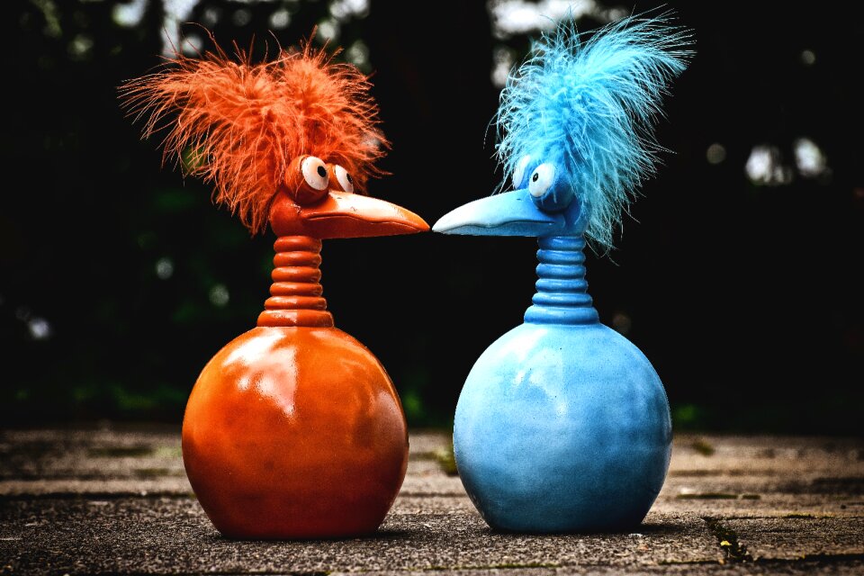 Funny weird bird cute