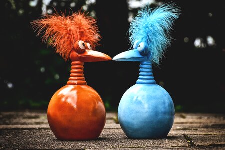 Funny weird bird cute