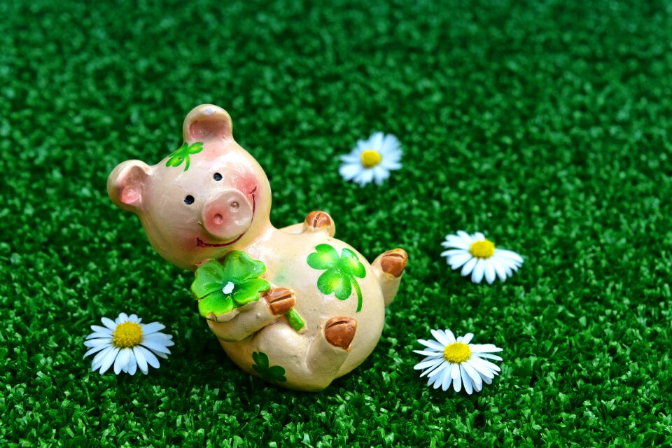 Luck shamrocks lucky charm