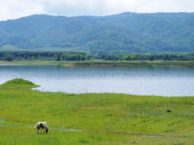 Green view geography river photo