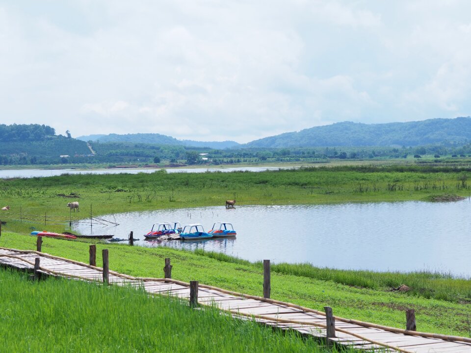 Green view geography river