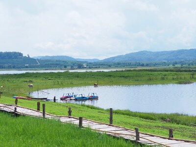 Green view geography river