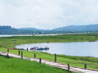 Green view geography river photo