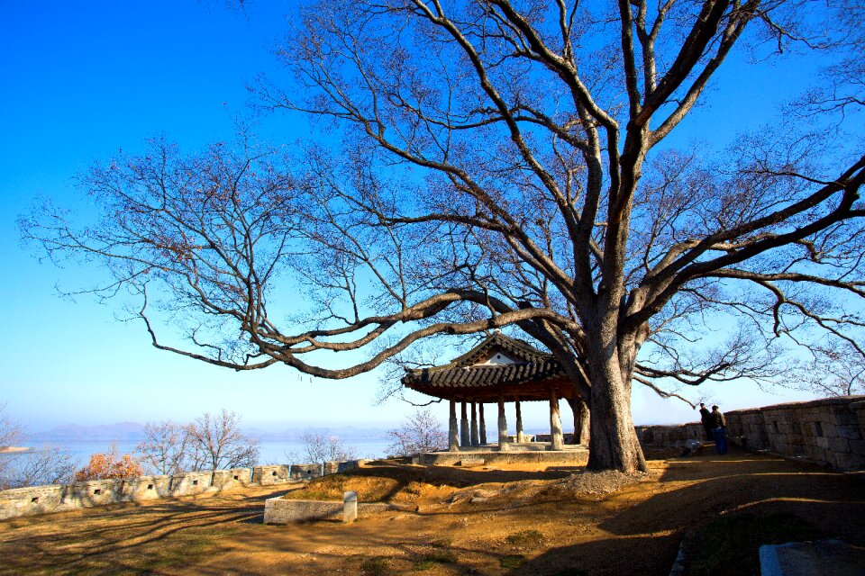 And thu traditional korea culture