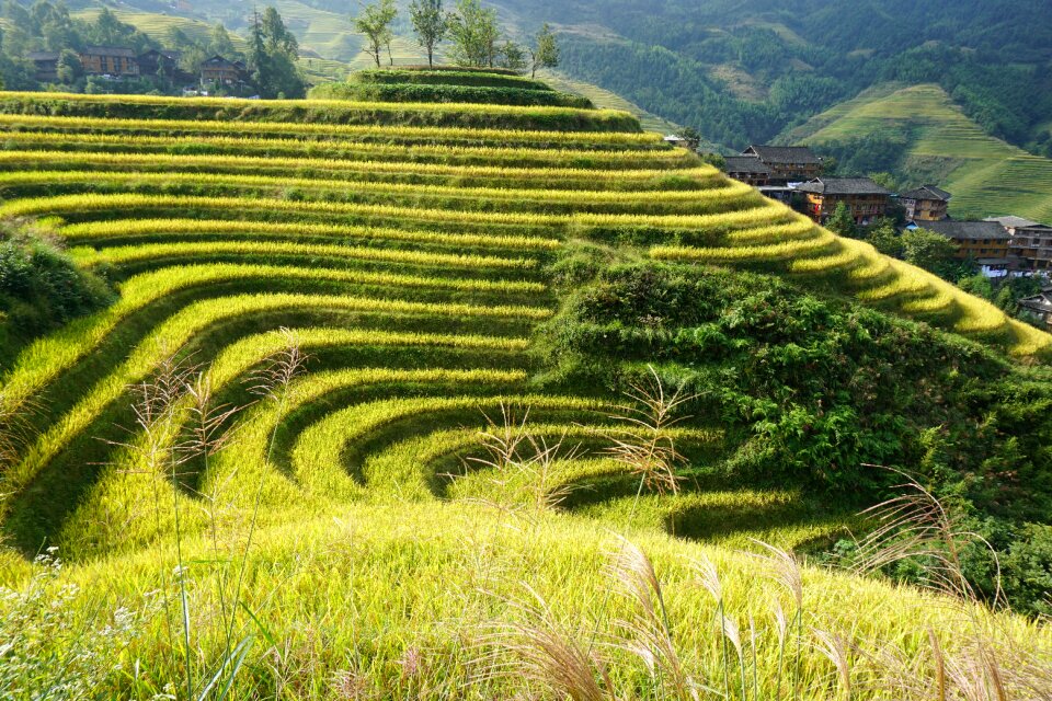 Longji dragon's back terrace