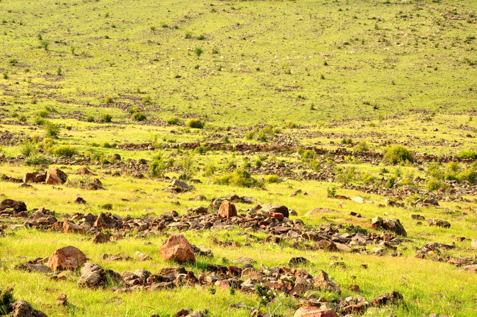 Landscape plateau spring