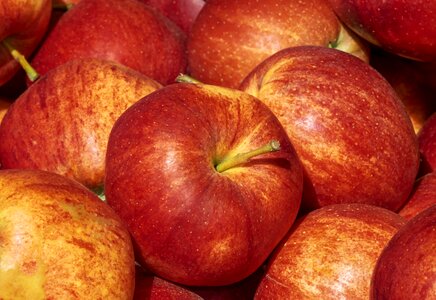 Fruits sweet fresh