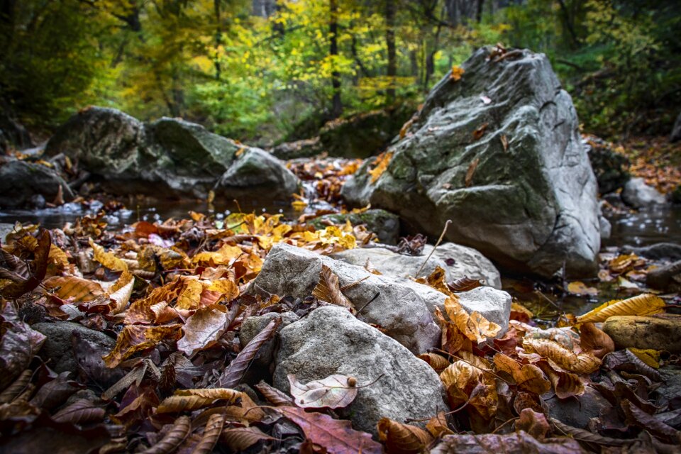 Mood passing away nature