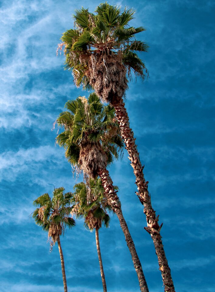 Sky vacation nature