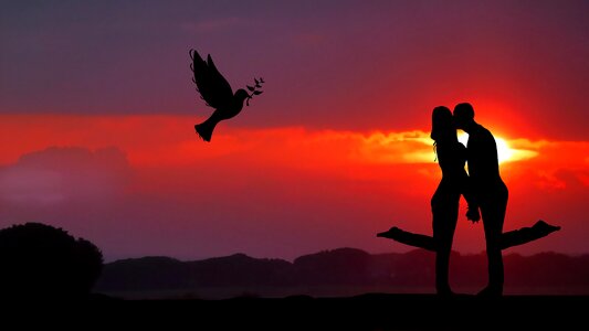 Bird nature romance