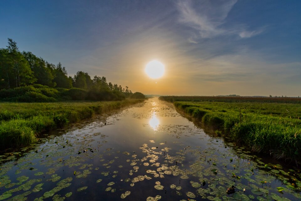 Sunrise landscape nature conservation