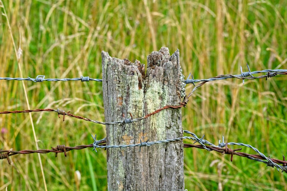 Pile fence demarcation