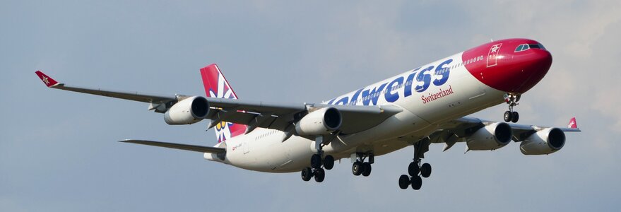 Edelweiss landing covered