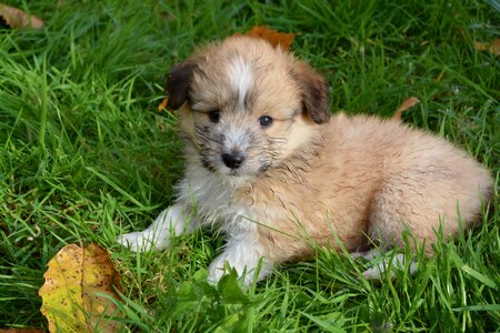Cute adorable portrait