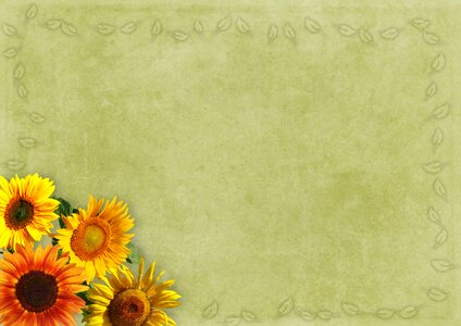Background image vintage leaves