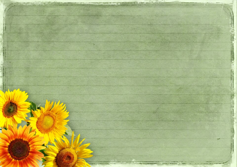 Background image vintage lined