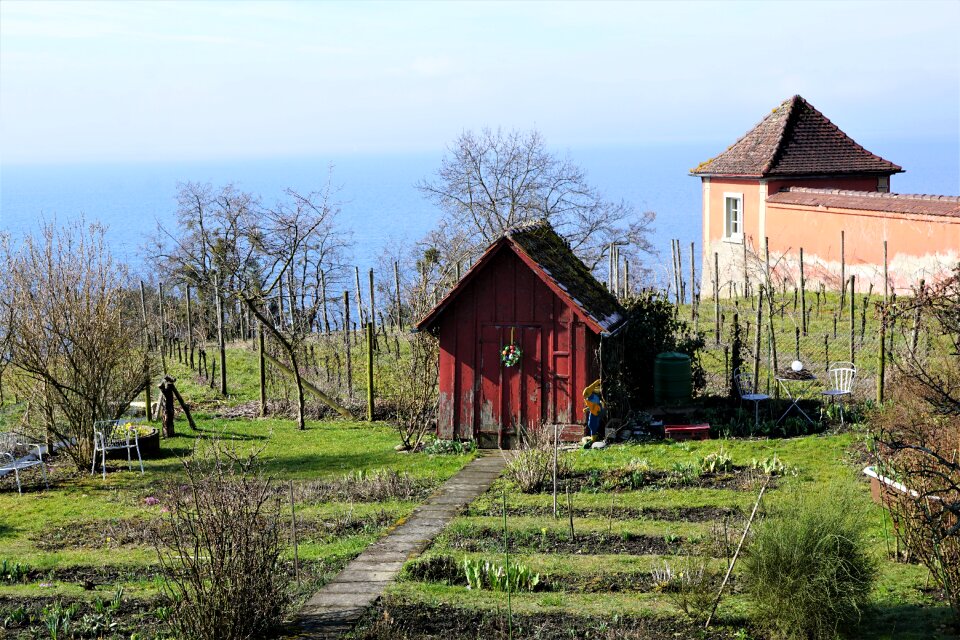 Small nature lake constance