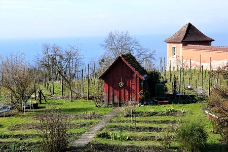 Small nature lake constance