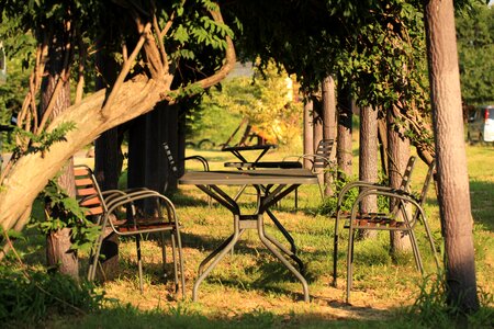 Wood bench landscape