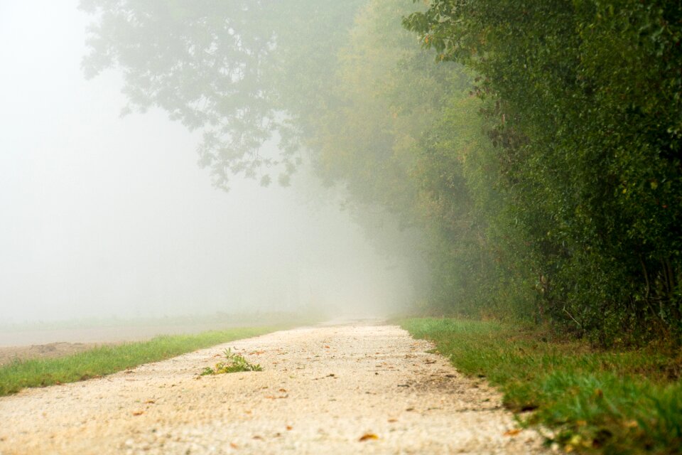 Landscape nature mood