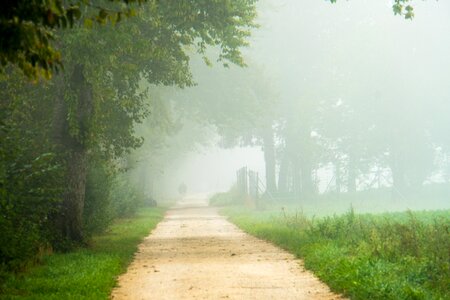 Landscape nature mood