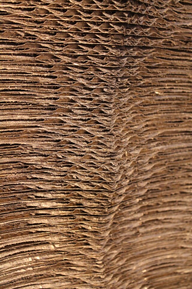 Cardboard art Free photos