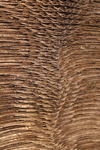 Cardboard art Free photos