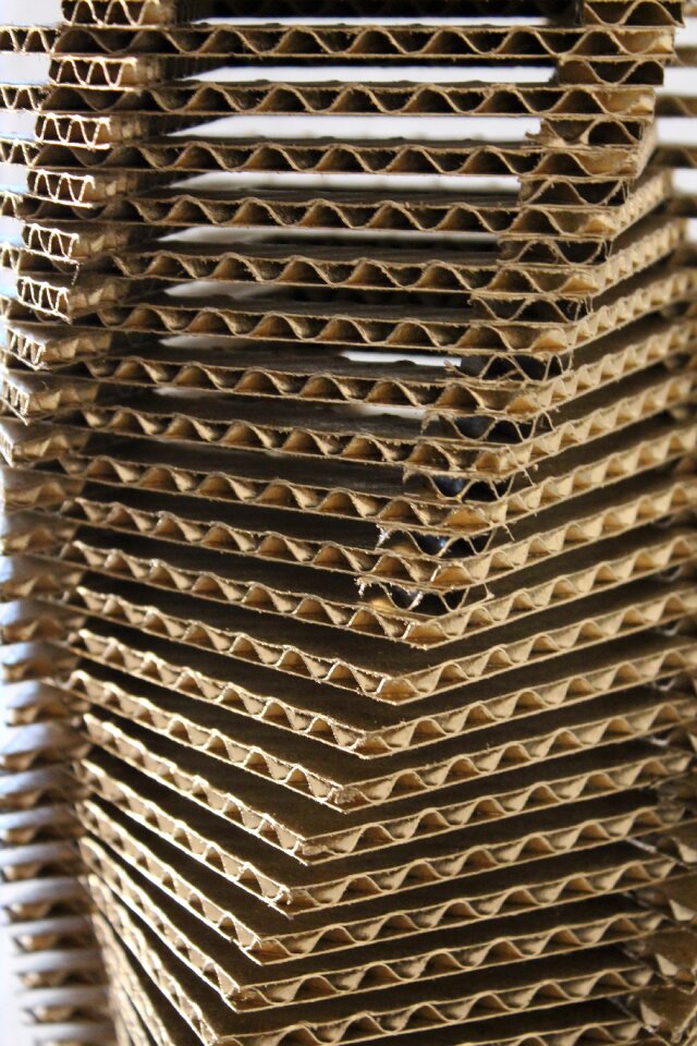 Cardboard art Free photos