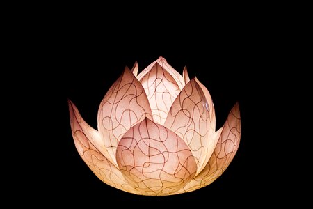 Lighting light fixtures lotus