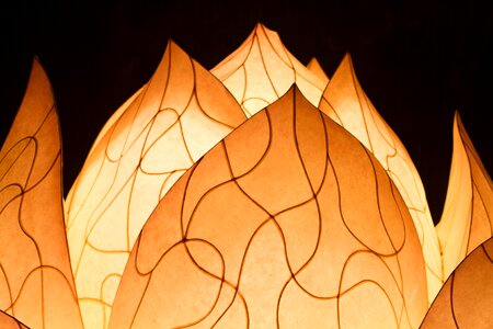 Lighting light fixtures lotus photo