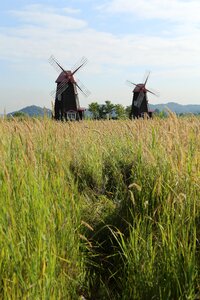Nature landscape small so not ecological park