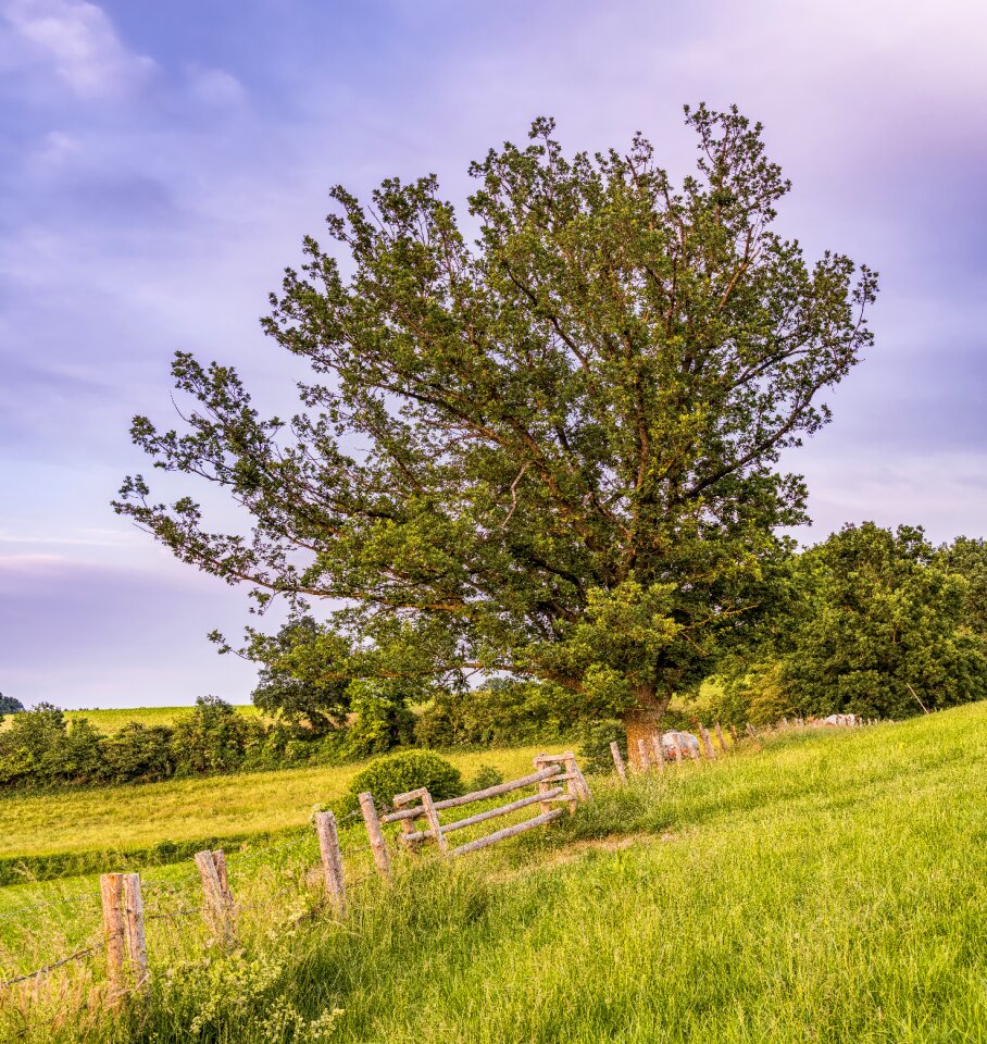 Landscape nature sky