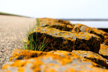 Stones environment stone
