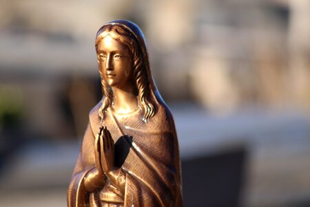 Pure religion bronze