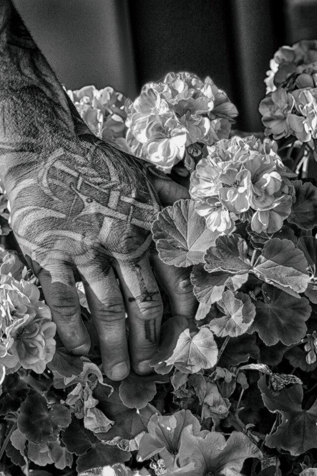 Flower man adult