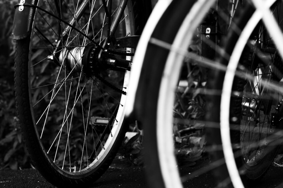 Bike bicycle gray bike