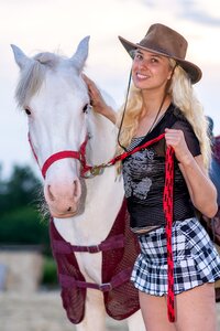 Horse animal nature