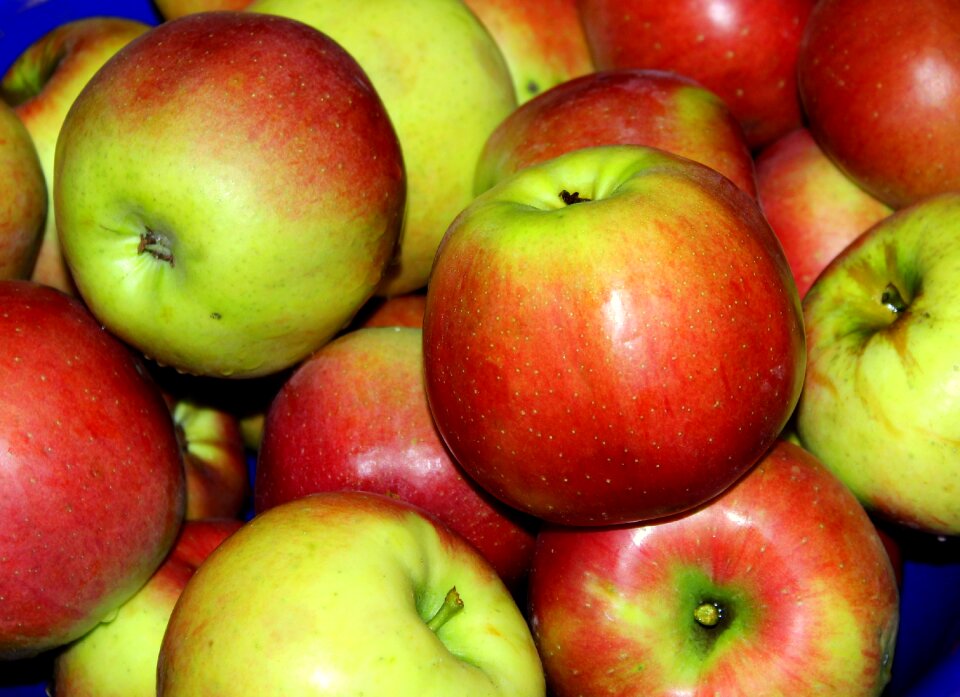 Vitamins nutrition food
