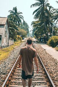 Tracks railroad tropics photo