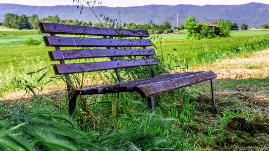 Rest natural landscape calm