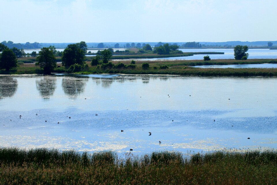 Pond-water landscape view