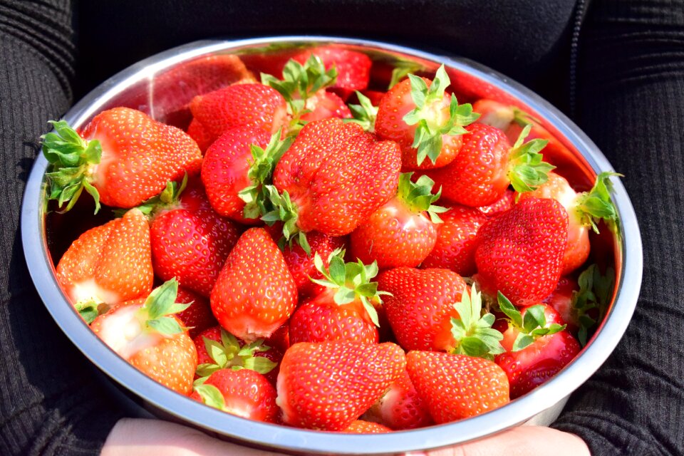 Sweet food fresh