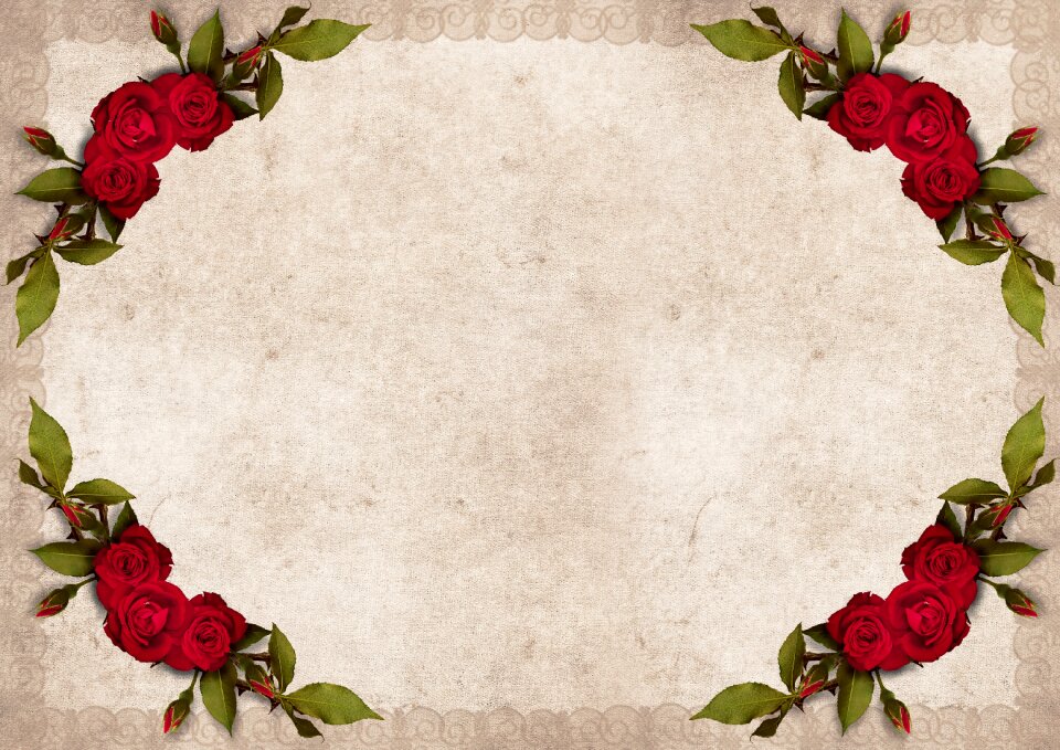 Vintage flowers red roses
