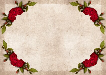 Vintage flowers red roses