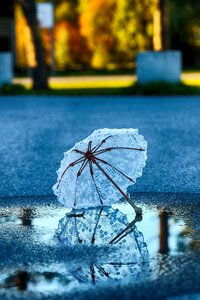 Umbrella puddle blue umbrella
