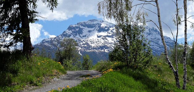 Panorama landscape nature photo